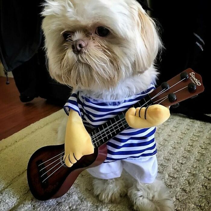 "Lend Me Your Ears And I’ll Sing You A Song; And I’ll Try Not To Sing Out Of Key"