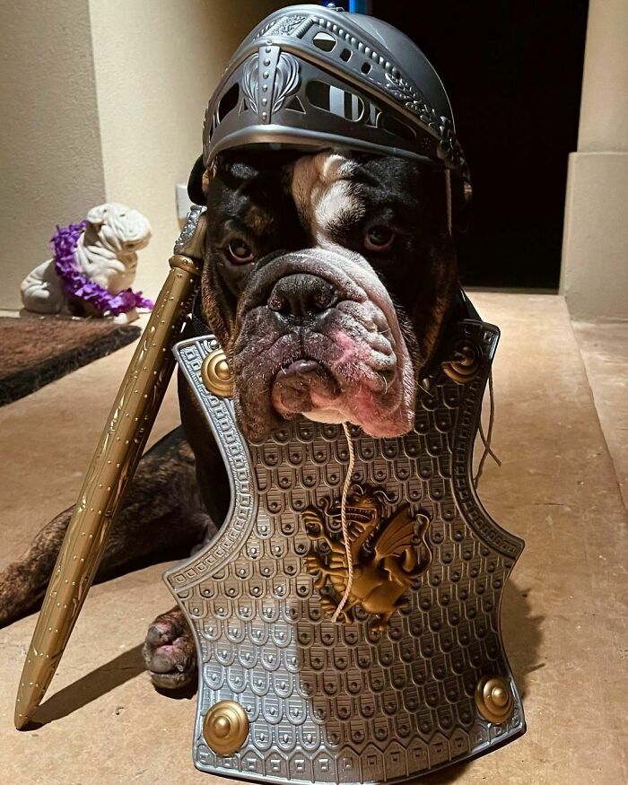 Must Protect This House