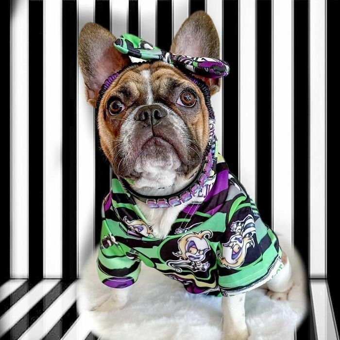 Can You Guess Who I Am?