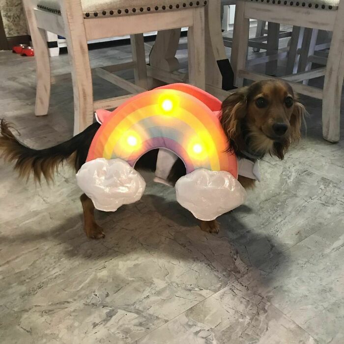 How Perfect Is This - A Rainbow Outfit For Miss Rainbow