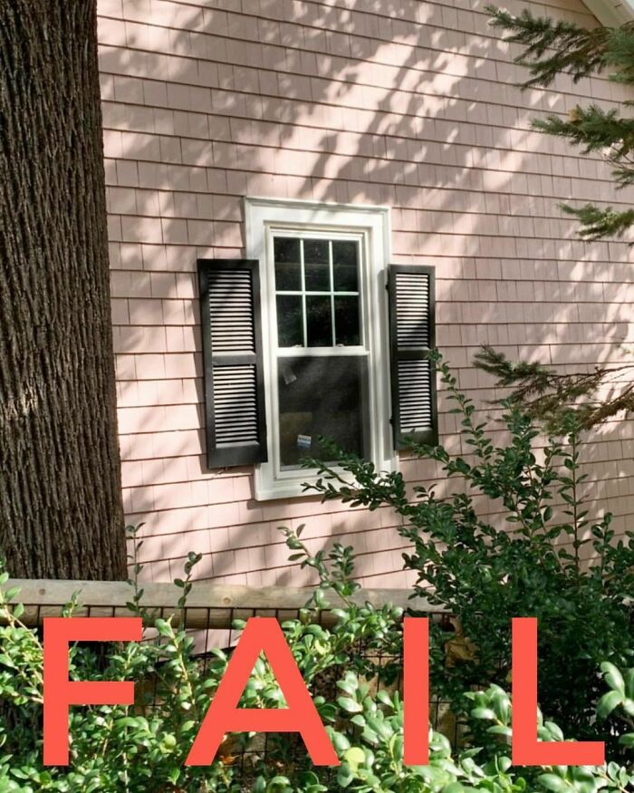 Here We See A Rare Glimpse In A Remote Woodland Setting Of The American Pygmy Winged Window. Note The Undersized Louvered Wings Unlike The Full Sized European Variety.
this Variety Is, Sadly, Flightless And Has No Means Of Protecting Itself. Strangely They Have Flourished Across The Fruited Plains Of North America.
#shuddersunday