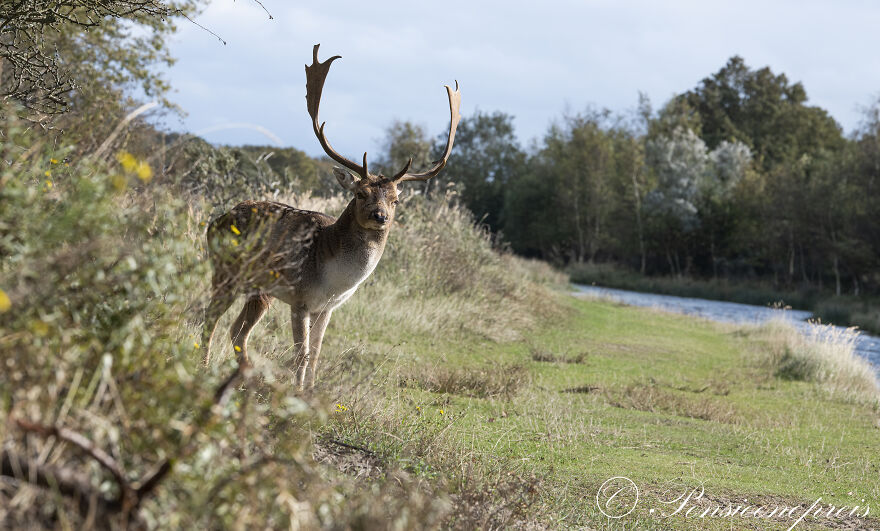 Coming To Look At The Camera
