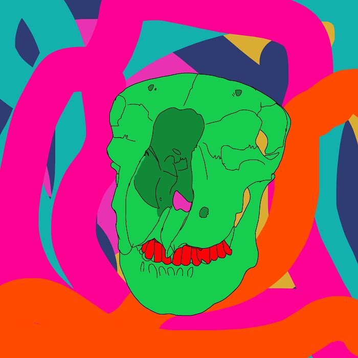 Sheep Skull With Human Jaw (Jaw Is Artificial)