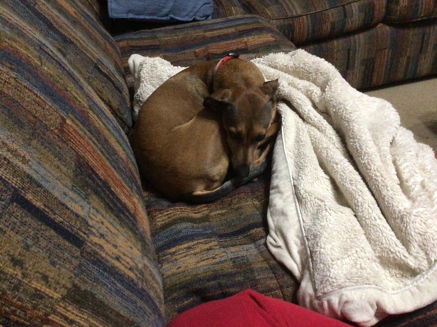 I Drew Me And My Doggie 🥰