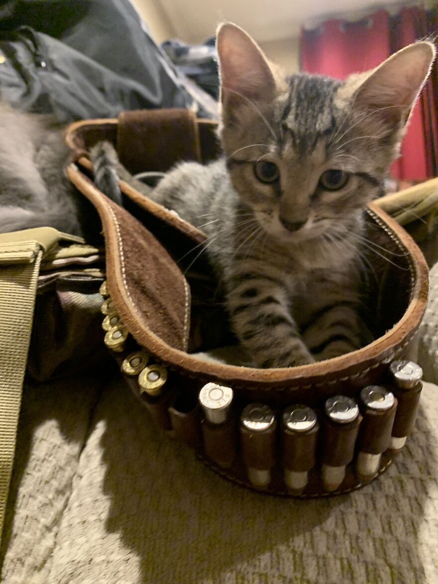 My Happy Little Life