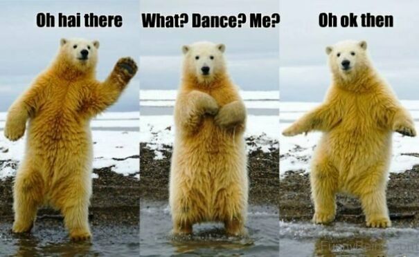 Dance Memes For Dancers And Non Dancers