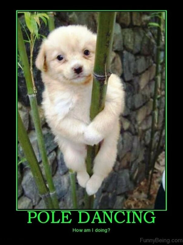 Dance Memes For Dancers And Non Dancers