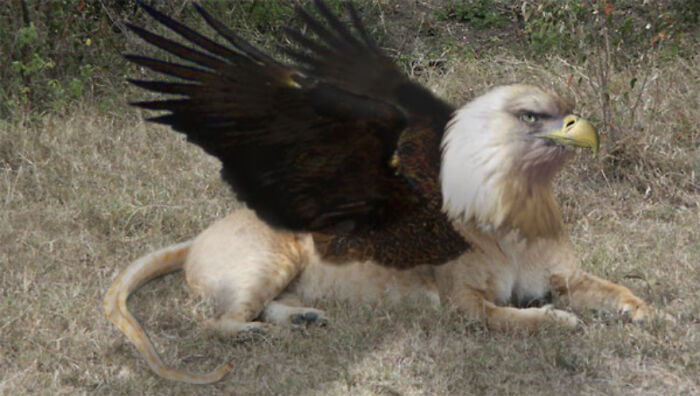 Digital Artists Were Challenged To Create New Creatures In Photoshop And Here Are The Best Ones (33 Pics)