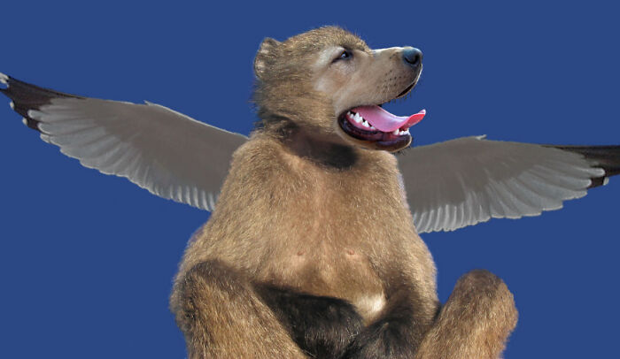 Digital Artists Were Challenged To Create New Creatures In Photoshop And Here Are The Best Ones (33 Pics)