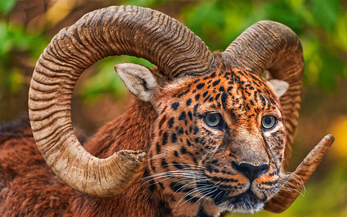 Digital Artists Were Challenged To Create New Creatures In Photoshop And Here Are The Best Ones (33 Pics)