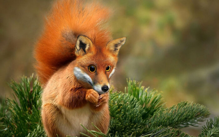 Digital Artists Were Challenged To Create New Creatures In Photoshop And Here Are The Best Ones (33 Pics)