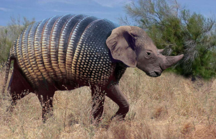 Digital Artists Were Challenged To Create New Creatures In Photoshop And Here Are The Best Ones (33 Pics)