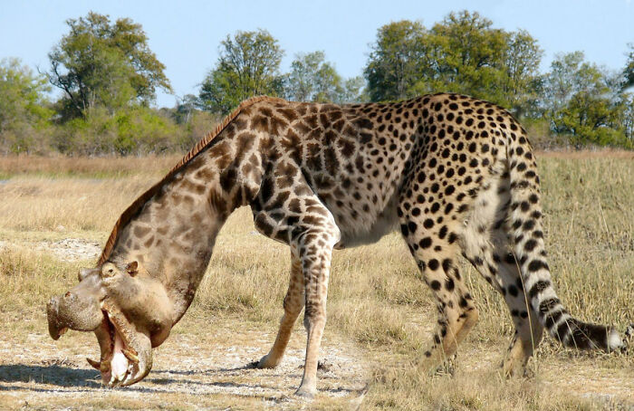 Digital Artists Were Challenged To Create New Creatures In Photoshop And Here Are The Best Ones (33 Pics)