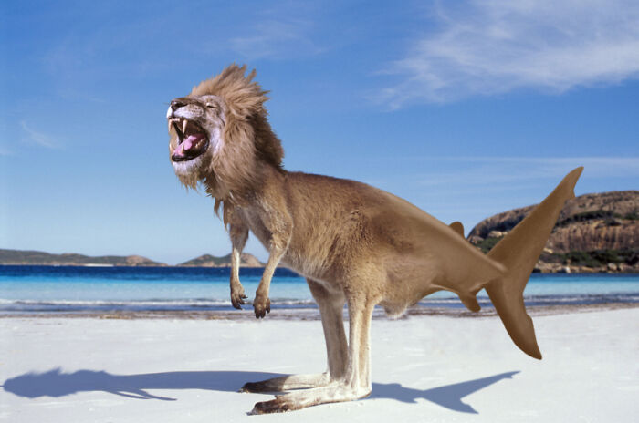 Digital Artists Were Challenged To Create New Creatures In Photoshop And Here Are The Best Ones (33 Pics)