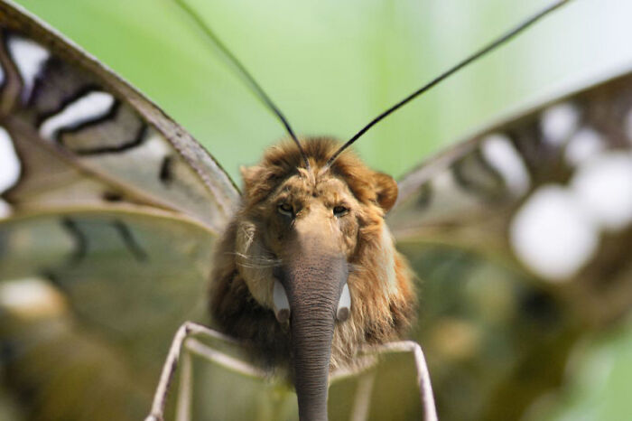 Digital Artists Were Challenged To Create New Creatures In Photoshop And Here Are The Best Ones (33 Pics)