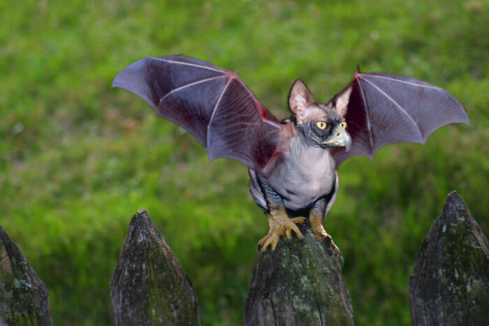 Digital Artists Were Challenged To Create New Creatures In Photoshop And Here Are The Best Ones (33 Pics)