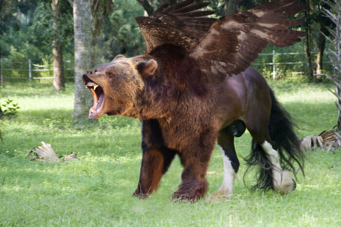 Digital Artists Were Challenged To Create New Creatures In Photoshop And Here Are The Best Ones (33 Pics)