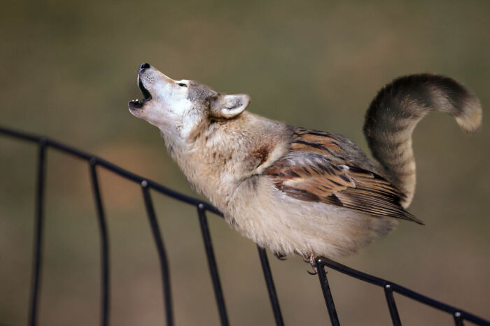 Digital Artists Were Challenged To Create New Creatures In Photoshop And Here Are The Best Ones (33 Pics)