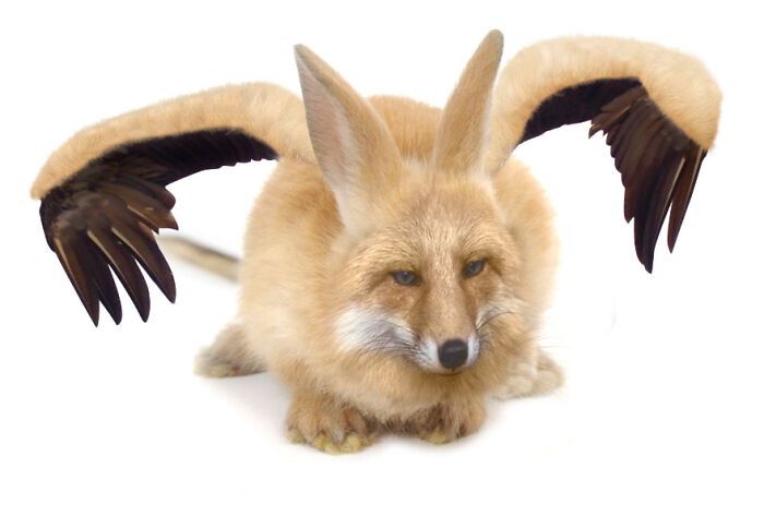 Digital Artists Were Challenged To Create New Creatures In Photoshop And Here Are The Best Ones (33 Pics)