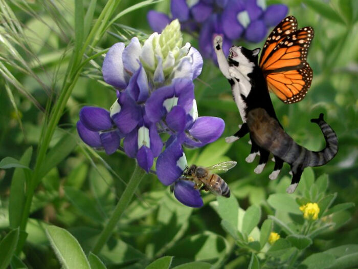 Digital Artists Were Challenged To Create New Creatures In Photoshop And Here Are The Best Ones (33 Pics)