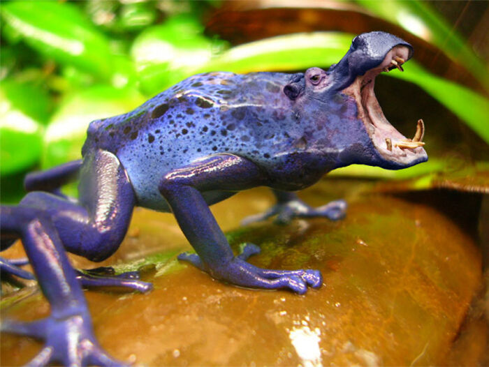 Digital Artists Were Challenged To Create New Creatures In Photoshop And Here Are The Best Ones (33 Pics)