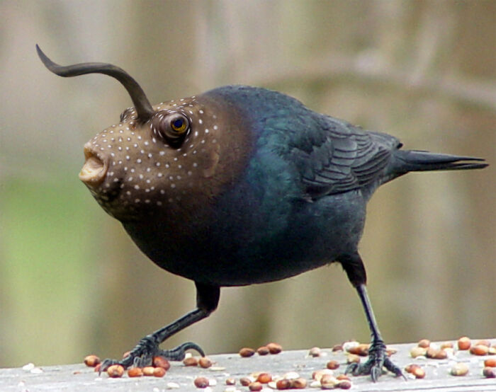 Digital Artists Were Challenged To Create New Creatures In Photoshop And Here Are The Best Ones (33 Pics)