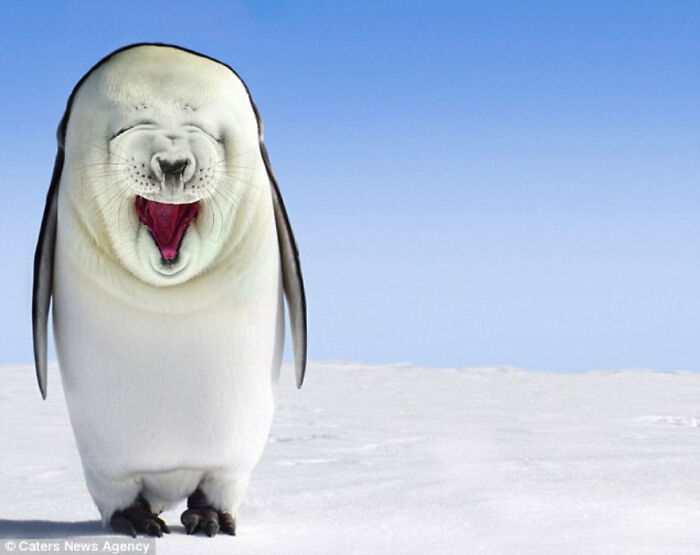 Digital Artists Were Challenged To Create New Creatures In Photoshop And Here Are The Best Ones (33 Pics)