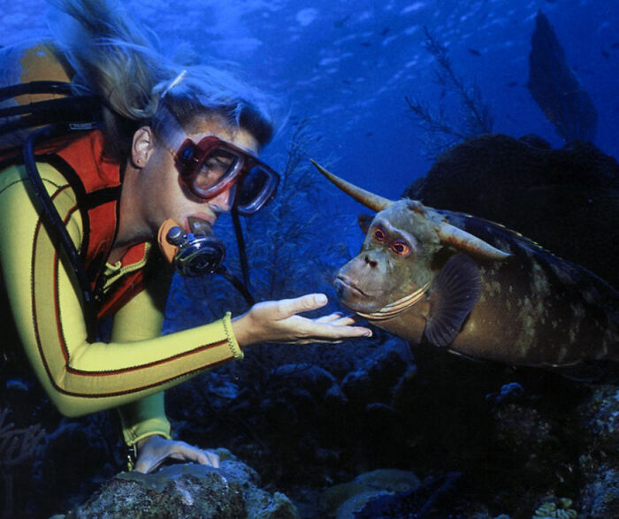 Digital Artists Were Challenged To Create New Creatures In Photoshop And Here Are The Best Ones (33 Pics)