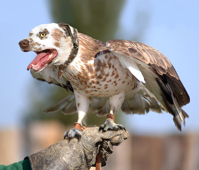 Digital Artists Were Challenged To Create New Creatures In Photoshop And Here Are The Best Ones (33 Pics)