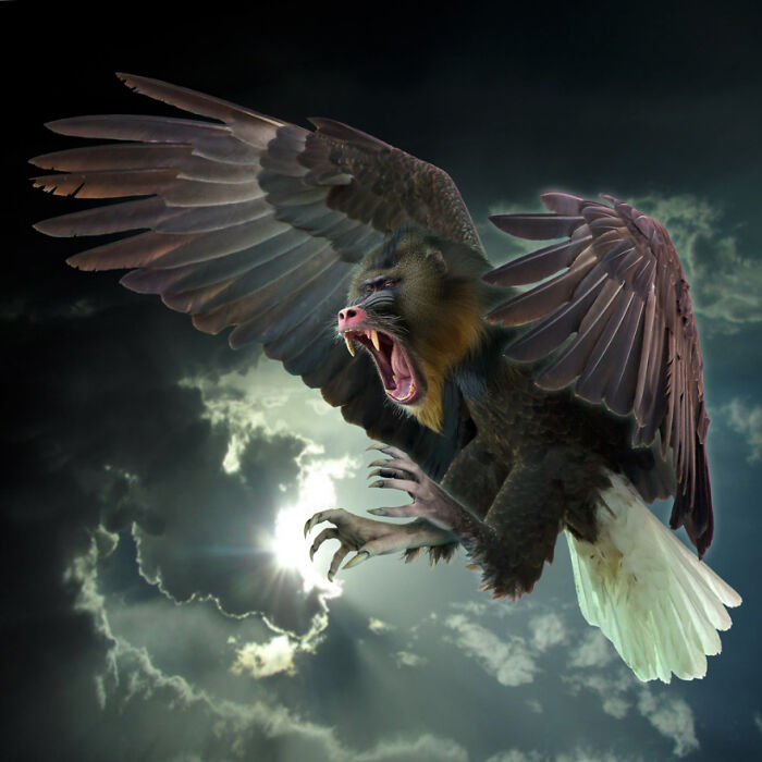 Digital Artists Were Challenged To Create New Creatures In Photoshop And Here Are The Best Ones (33 Pics)