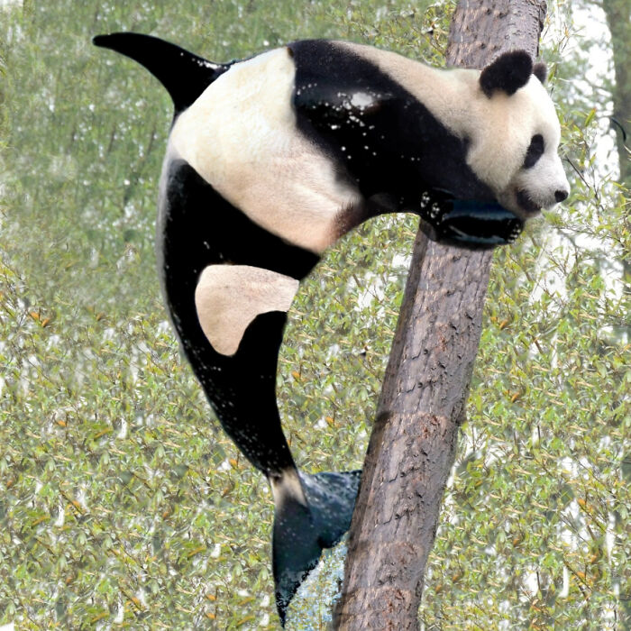 Digital Artists Were Challenged To Create New Creatures In Photoshop And Here Are The Best Ones (33 Pics)