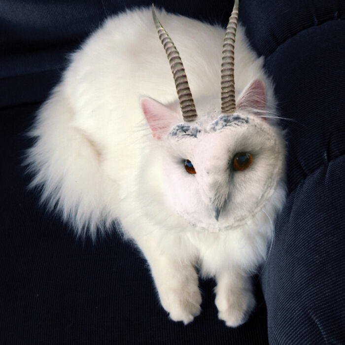 Digital Artists Were Challenged To Create New Creatures In Photoshop And Here Are The Best Ones (33 Pics)