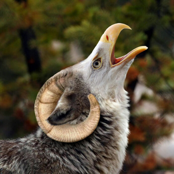 Digital Artists Were Challenged To Create New Creatures In Photoshop And Here Are The Best Ones (33 Pics)