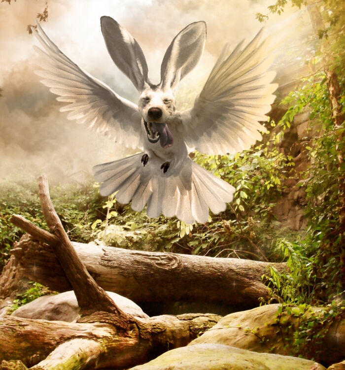 Digital Artists Were Challenged To Create New Creatures In Photoshop And Here Are The Best Ones (33 Pics)