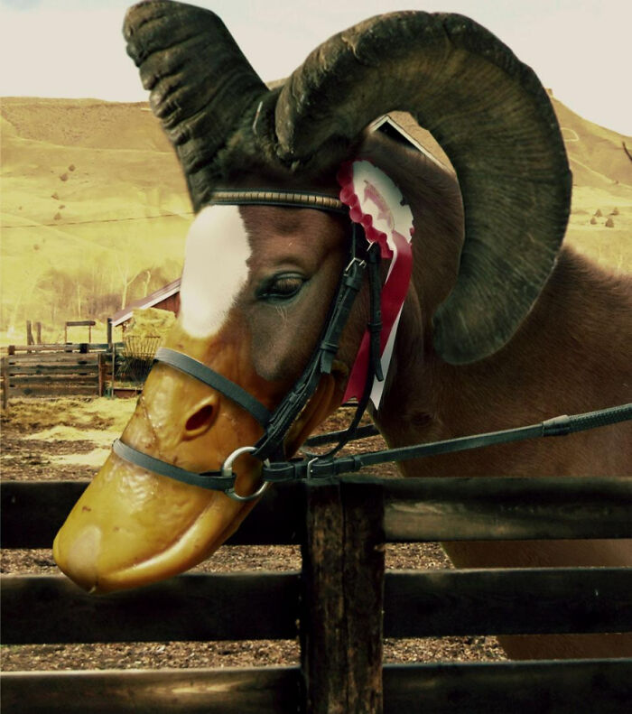 Digital Artists Were Challenged To Create New Creatures In Photoshop And Here Are The Best Ones (33 Pics)