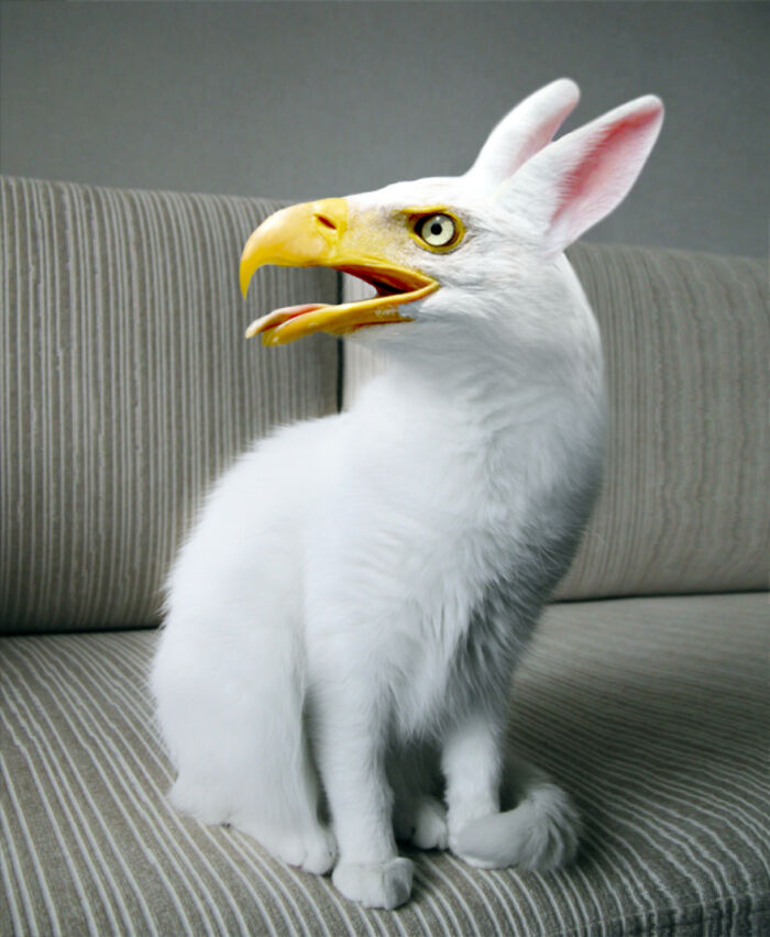 Digital Artists Were Challenged To Create New Creatures In Photoshop And Here Are The Best Ones (33 Pics)