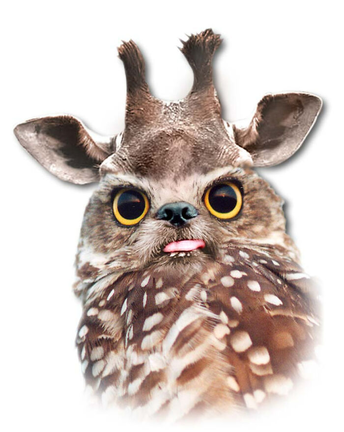 Digital Artists Were Challenged To Create New Creatures In Photoshop And Here Are The Best Ones (33 Pics)