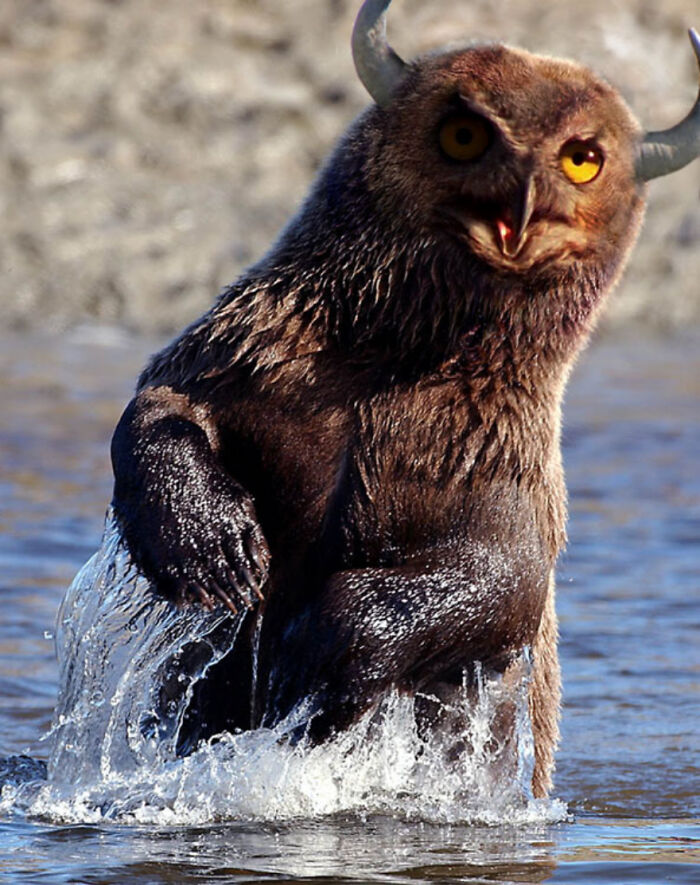 Digital Artists Were Challenged To Create New Creatures In Photoshop And Here Are The Best Ones (33 Pics)