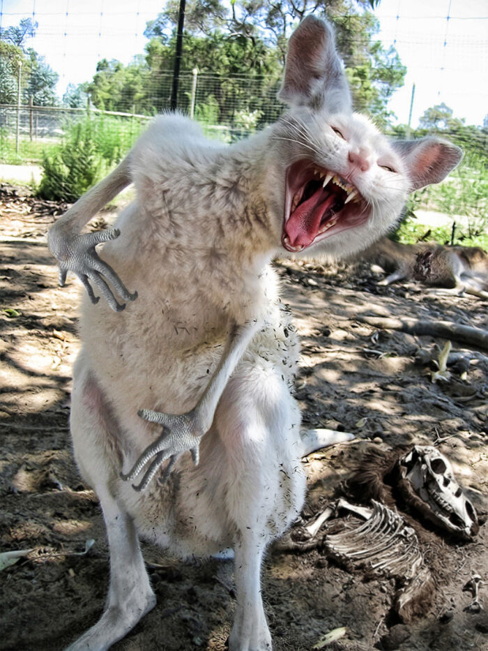 Digital Artists Were Challenged To Create New Creatures In Photoshop And Here Are The Best Ones (33 Pics)