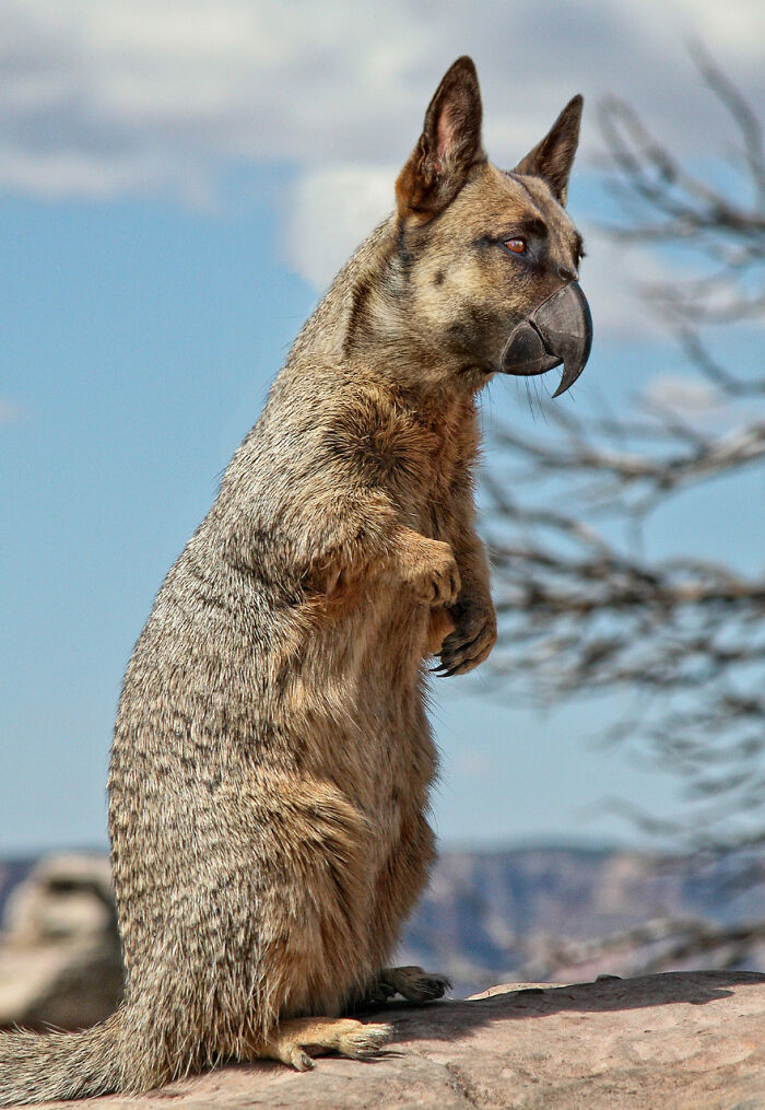 Digital Artists Were Challenged To Create New Creatures In Photoshop And Here Are The Best Ones (33 Pics)