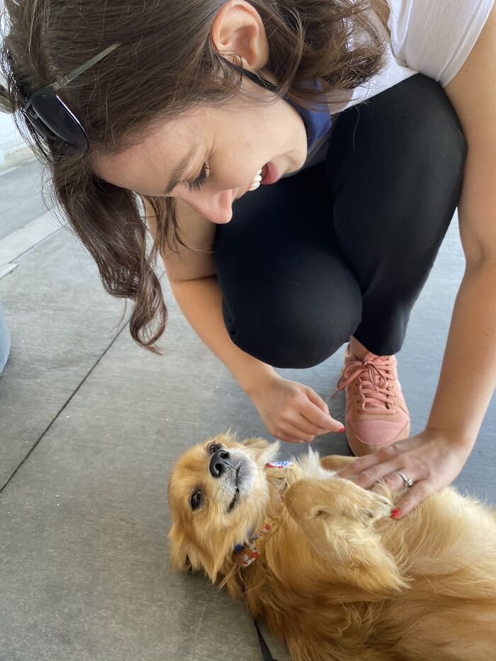 This Is A Picture From His Adoption Day At The Shelter. He Was A Stray With No Medical Records. Needless To Say He Loves Being A Part Of A Family!