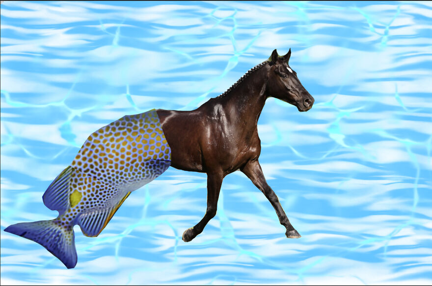 40 Low-Effort Photoshop Mythical Creatures