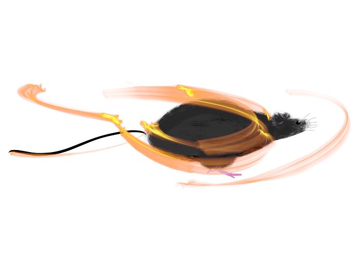 Supposed’ta Look Like It’s Running, But It Looks Like He’s Got One Leg.