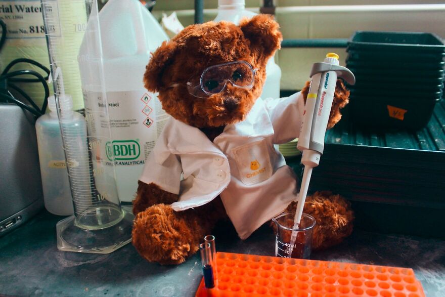 We Made These Adorable Scientist Teddy Bears For A Child Advocacy Center