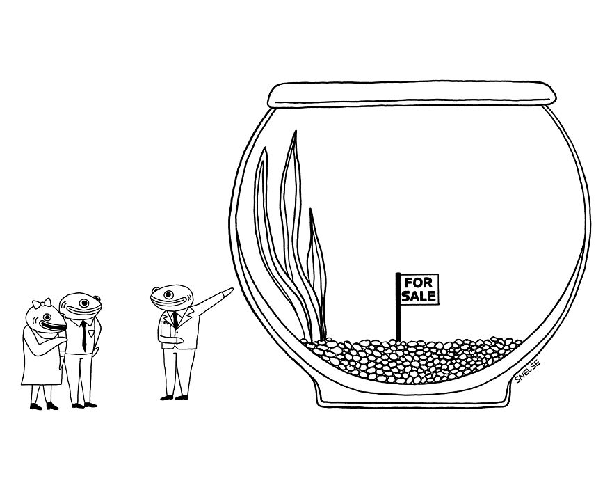 Who Gives Fish Mortgages Anyway?