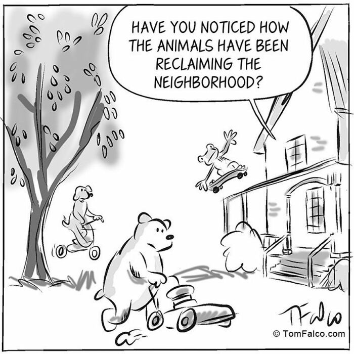 Funny Stories Told With Only One Panel By 'Tomversation'