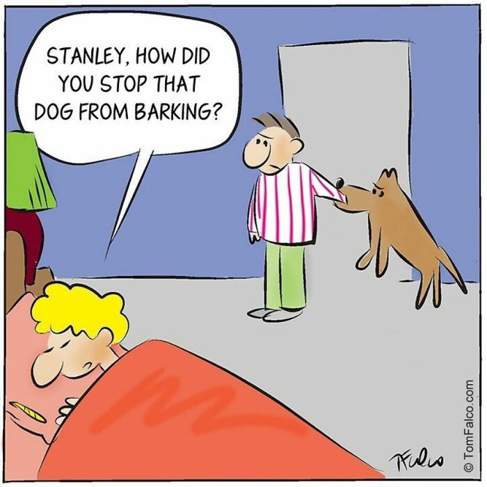 Funny Stories Told With Only One Panel By 'Tomversation'