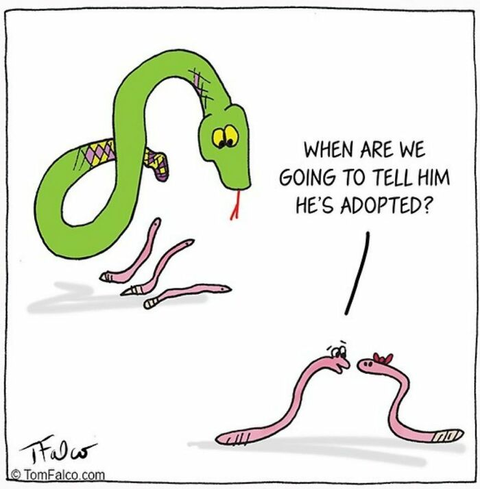 Funny Stories Told With Only One Panel By 'Tomversation'