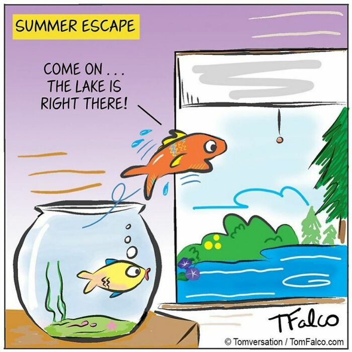 Funny Stories Told With Only One Panel By 'Tomversation'