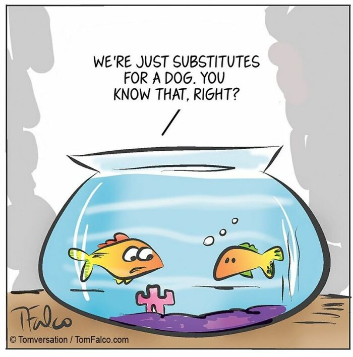 Funny Stories Told With Only One Panel By 'Tomversation'